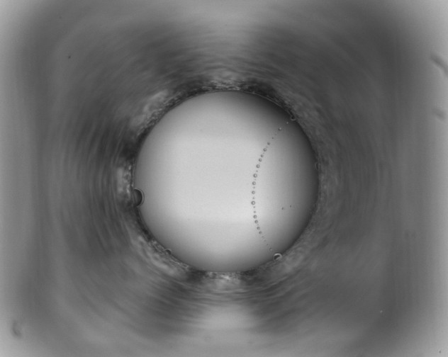 X0000100410768200806131036