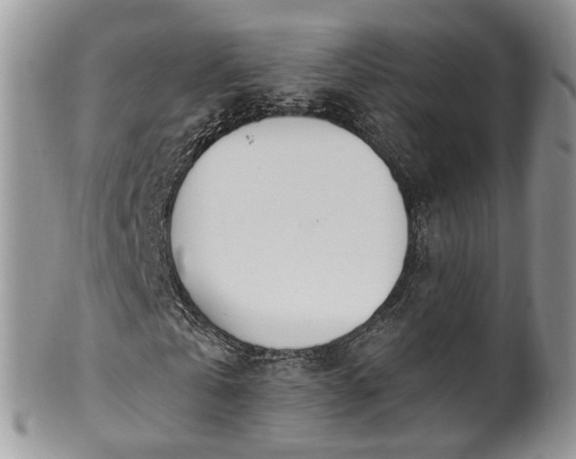 X0000100410769200806131035