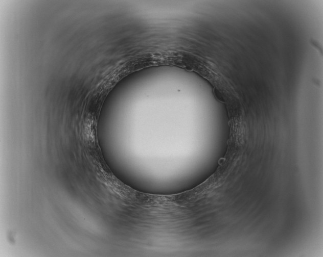 X0000100410770200806131035