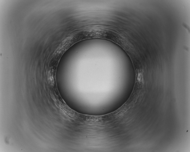 X0000100410771200806131035