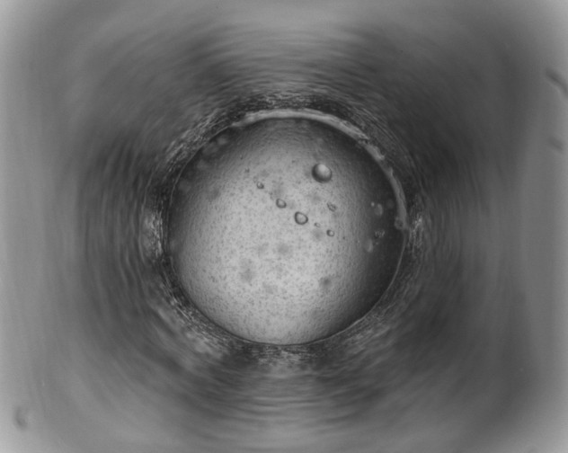 X0000100410772200806131035