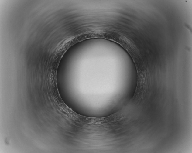 X0000100410773200806131035