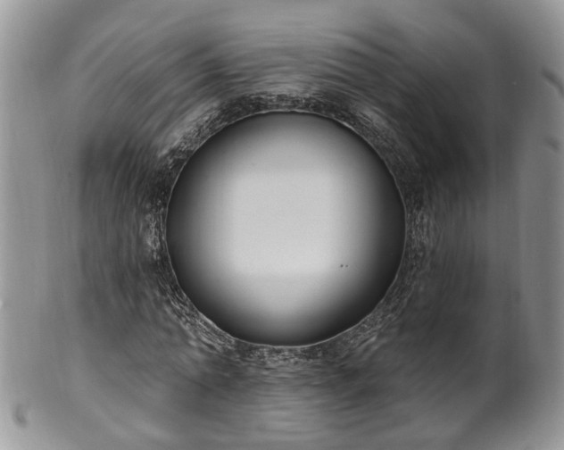 X0000100410774200806131035