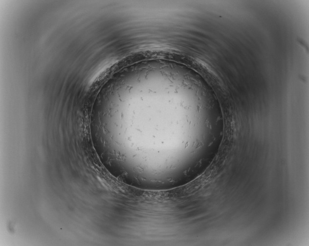 X0000100410775200806131035