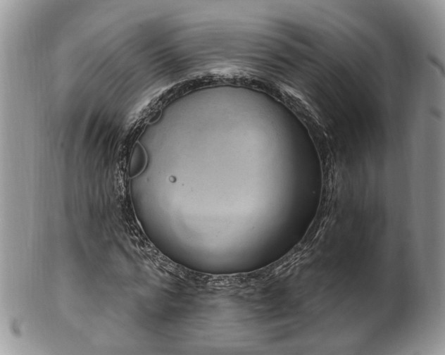 X0000100410776200806131035