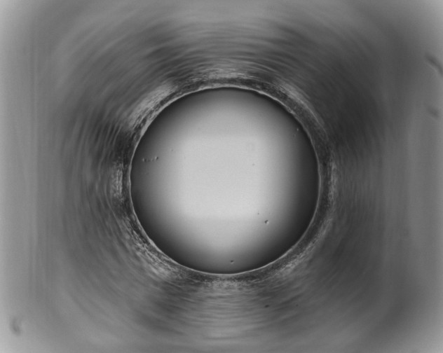 X0000100410777200806131035