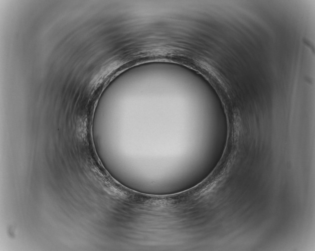 X0000100410778200806131035