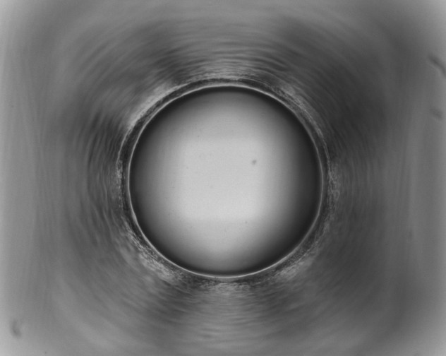 X0000100410779200806131035