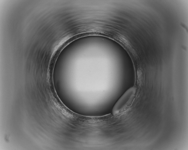 X0000100410780200806131035