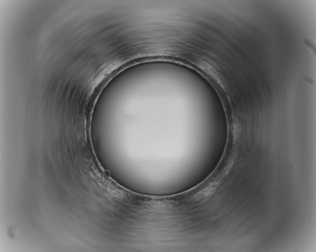 X0000100410781200806131035