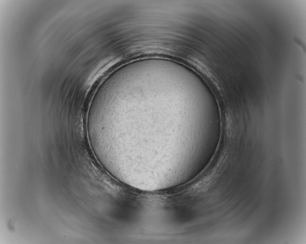 X0000100410782200806131035