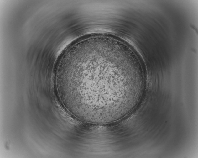 X0000100410783200806131035