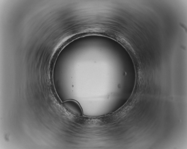 X0000100410784200806131035