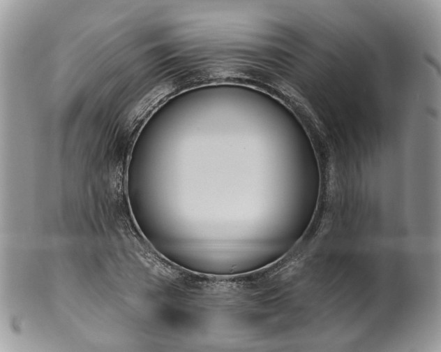 X0000100410785200806131035