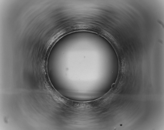 X0000100410786200806131035