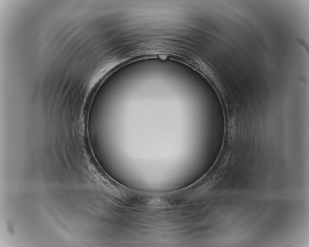 X0000100410787200806131035