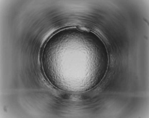 X0000100410788200806131035