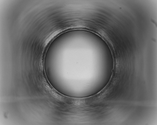 X0000100410789200806131035