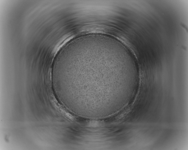 X0000100410790200806131035