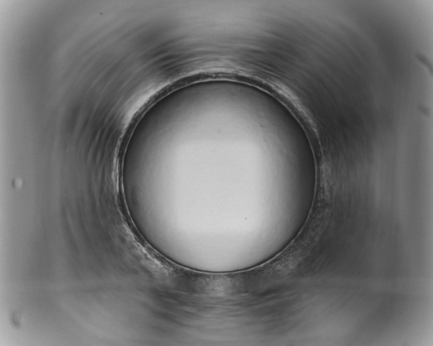 X0000100410791200806131035