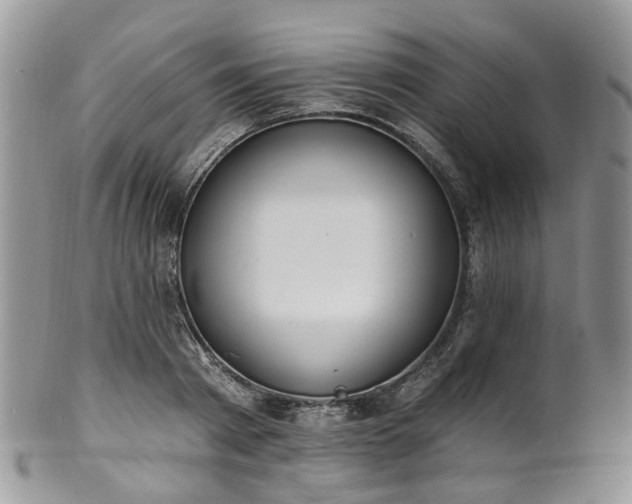 X0000100410793200806131035