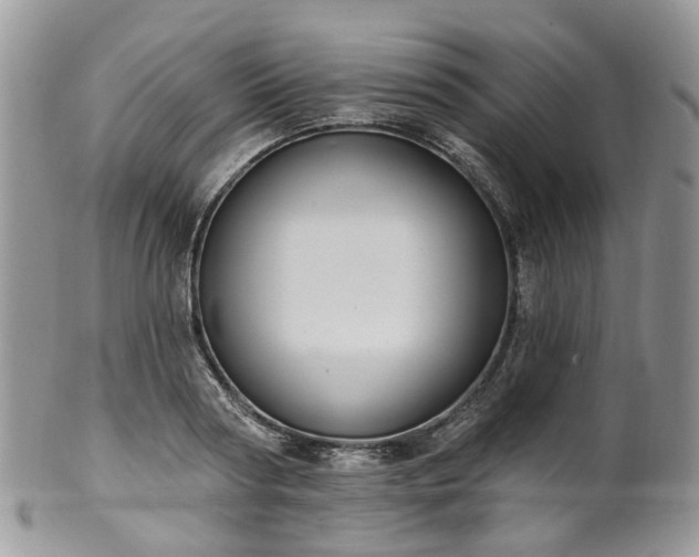 X0000100410794200806131035