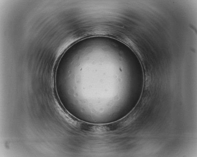 X0000100410795200806131035