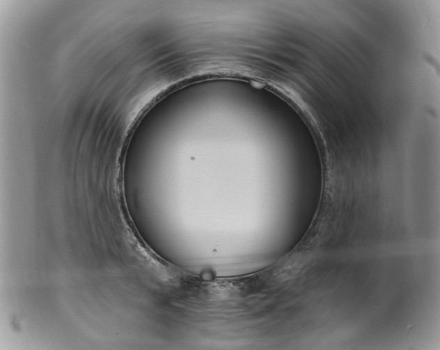 X0000100410799200806131035