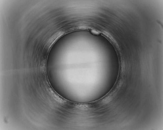 X0000100410801200806131034