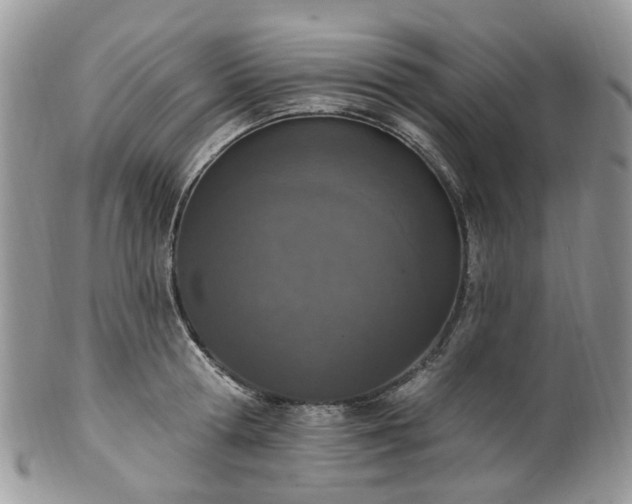 X0000100410802200806131034