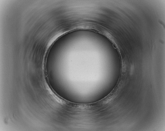 X0000100410803200806131034