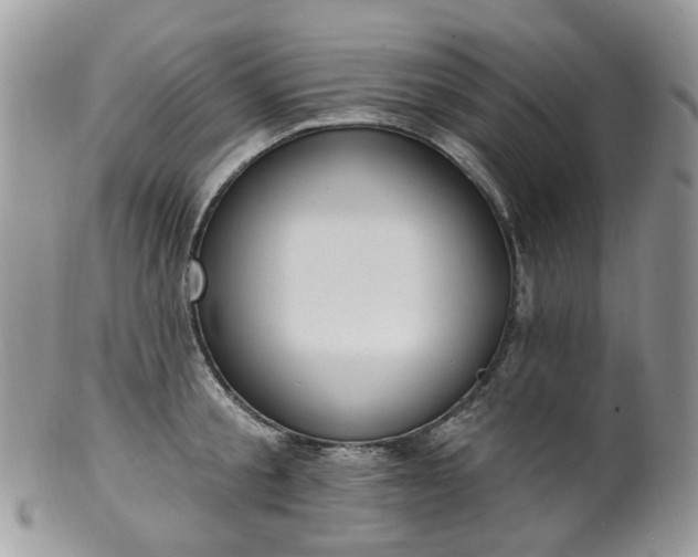 X0000100410805200806131034