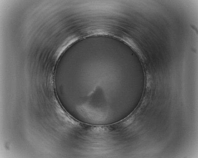 X0000100410806200806131034