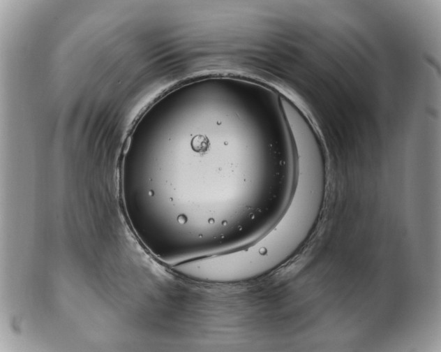 X0000100410807200806131034