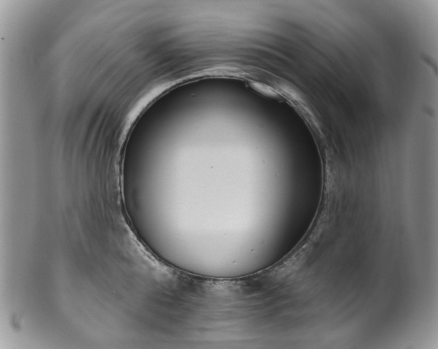 X0000100410808200806131034