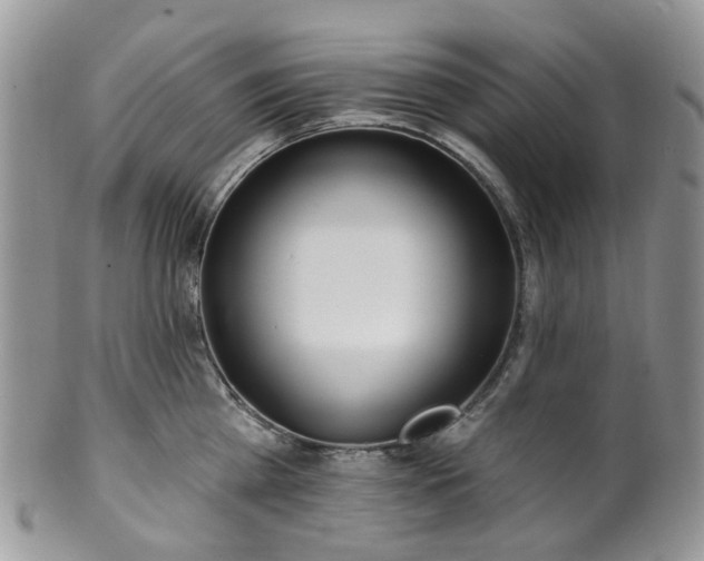 X0000100410809200806131034