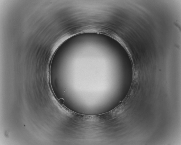 X0000100410811200806131034