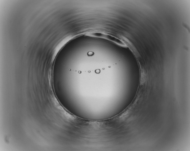 X0000100410812200806131034