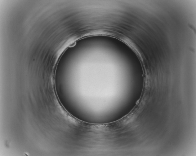 X0000100410813200806131034