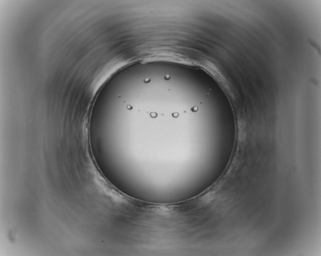 X0000100410814200806131034