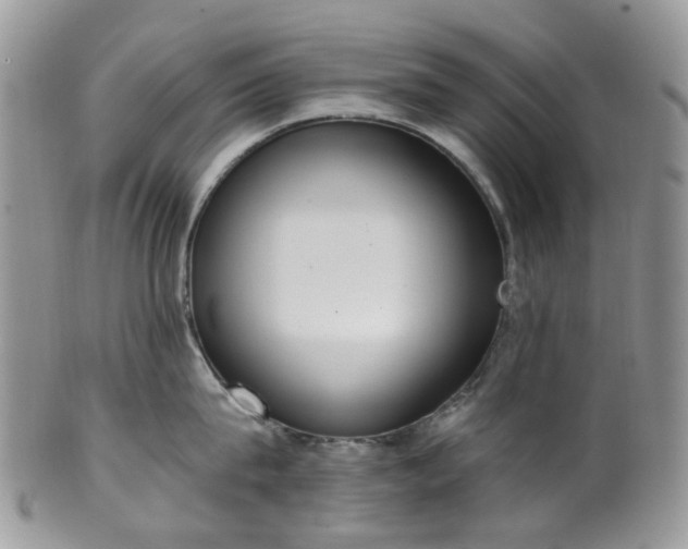 X0000100410815200806131034