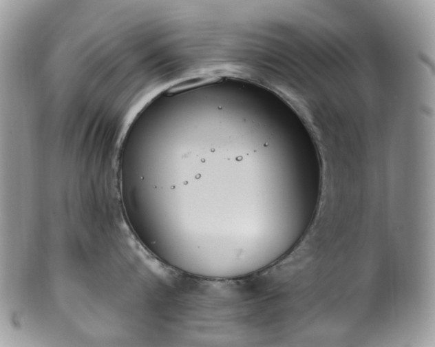 X0000100410816200806131034