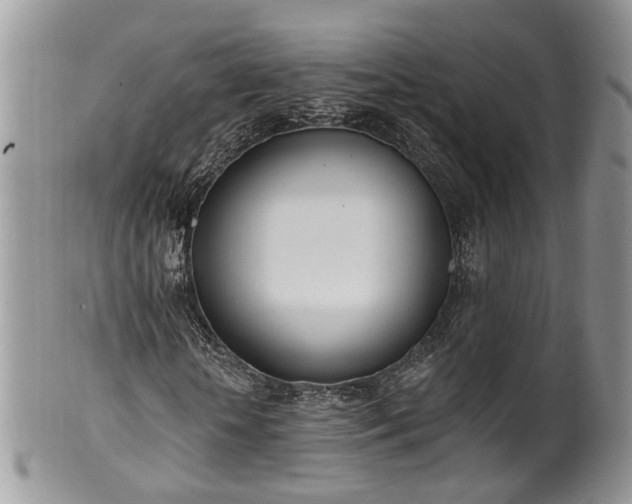 X0000100410818200806131034