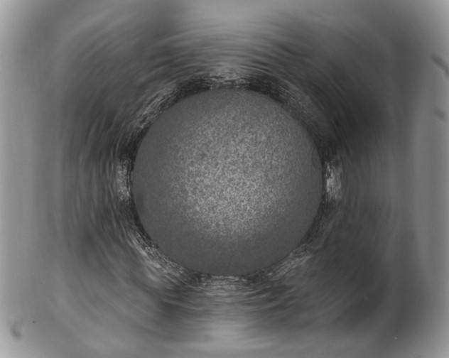 X0000100410819200806131034