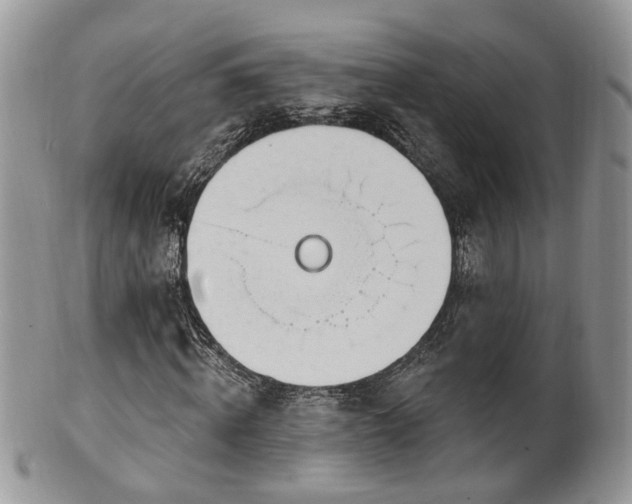 X0000100410820200806131034