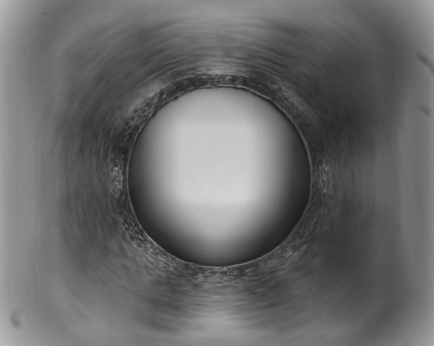 X0000100410821200806131034