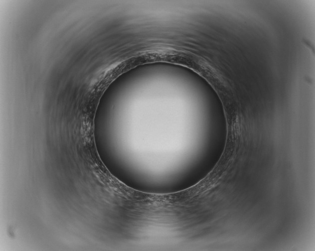 X0000100410822200806131034