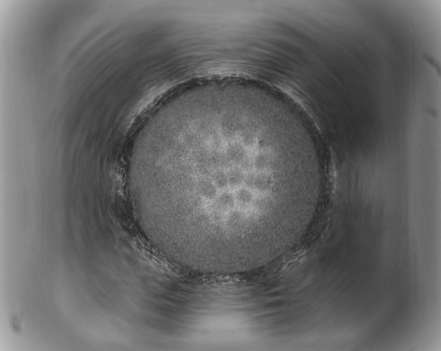 X0000100410823200806131034