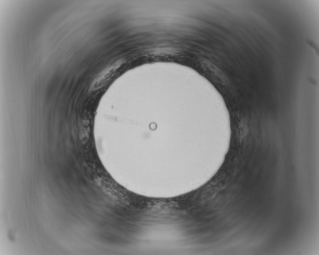 X0000100410824200806131034