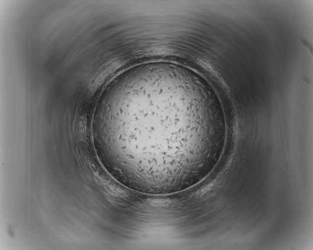 X0000100410825200806131034